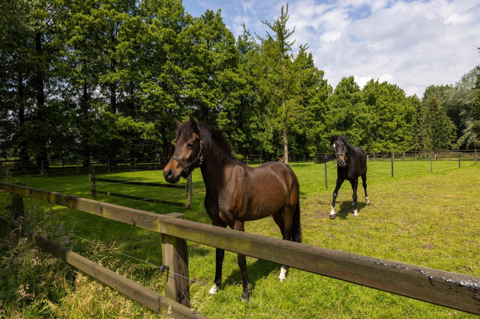 Luxe Hofstede Met Paardenstalling Lunteren Bagian luar foto